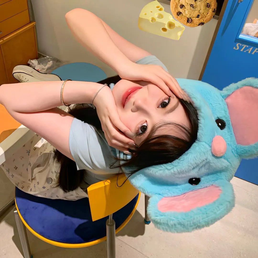 一只小蜘蛛